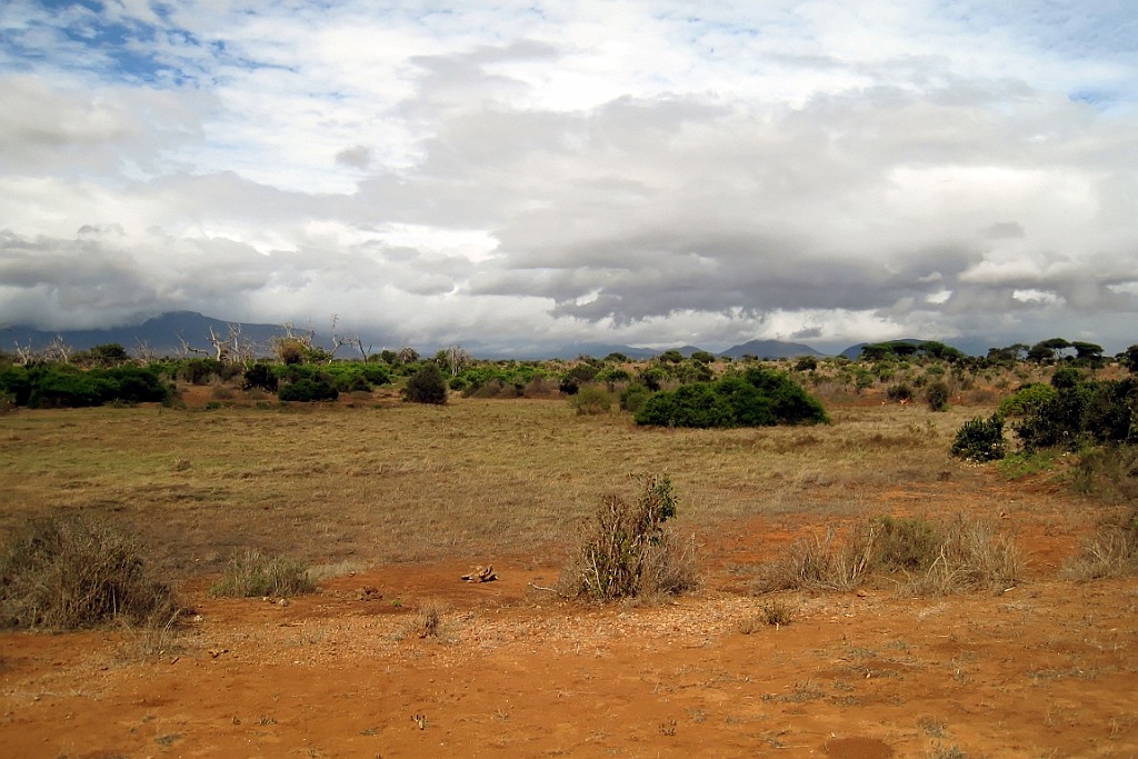 Kenia (344).jpg